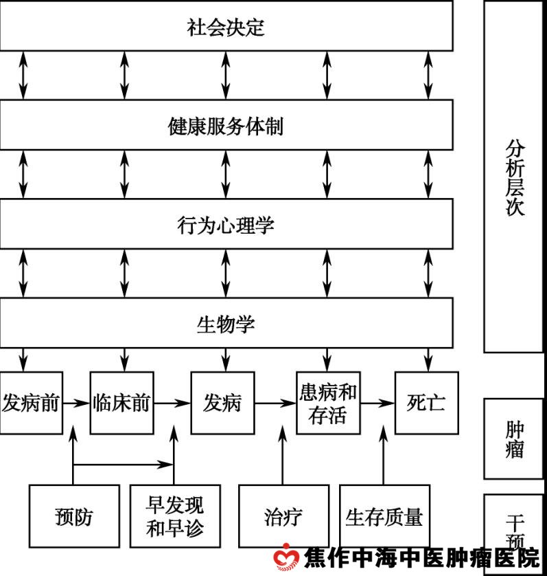 肿瘤的社会决定网络