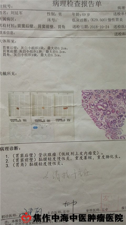 2ad65daec7e79bd1f90fa58a14d81a2_wps图片