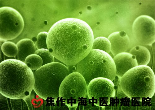 核被膜的功能-其他疾病-肿瘤案例网