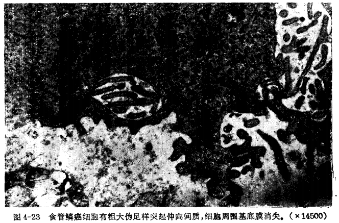 QQ截图20221219090521.png
