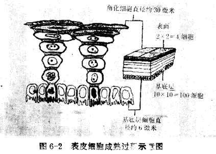 QQ截图20221223152720.png