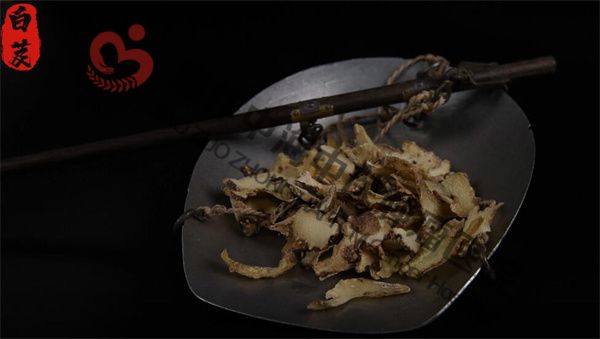 白芨4.jpg